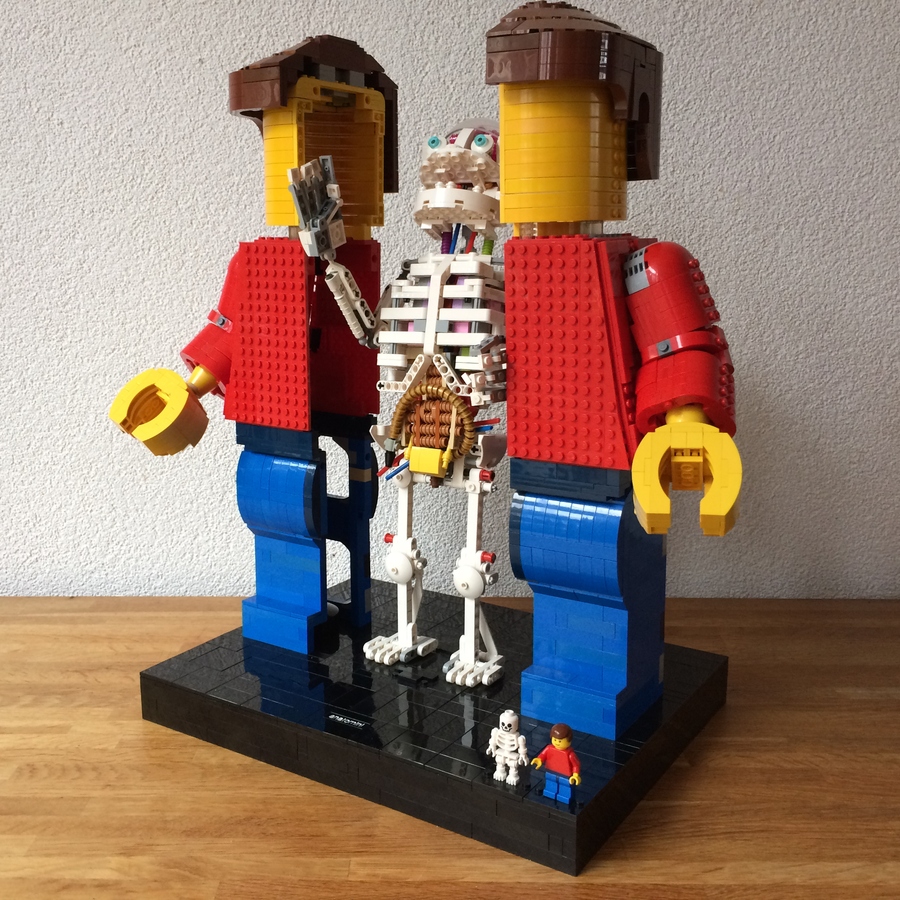 LEGO IDEAS - Anatomini