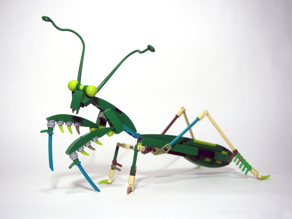 LEGO IDEAS Product Ideas LEGO Insects Project