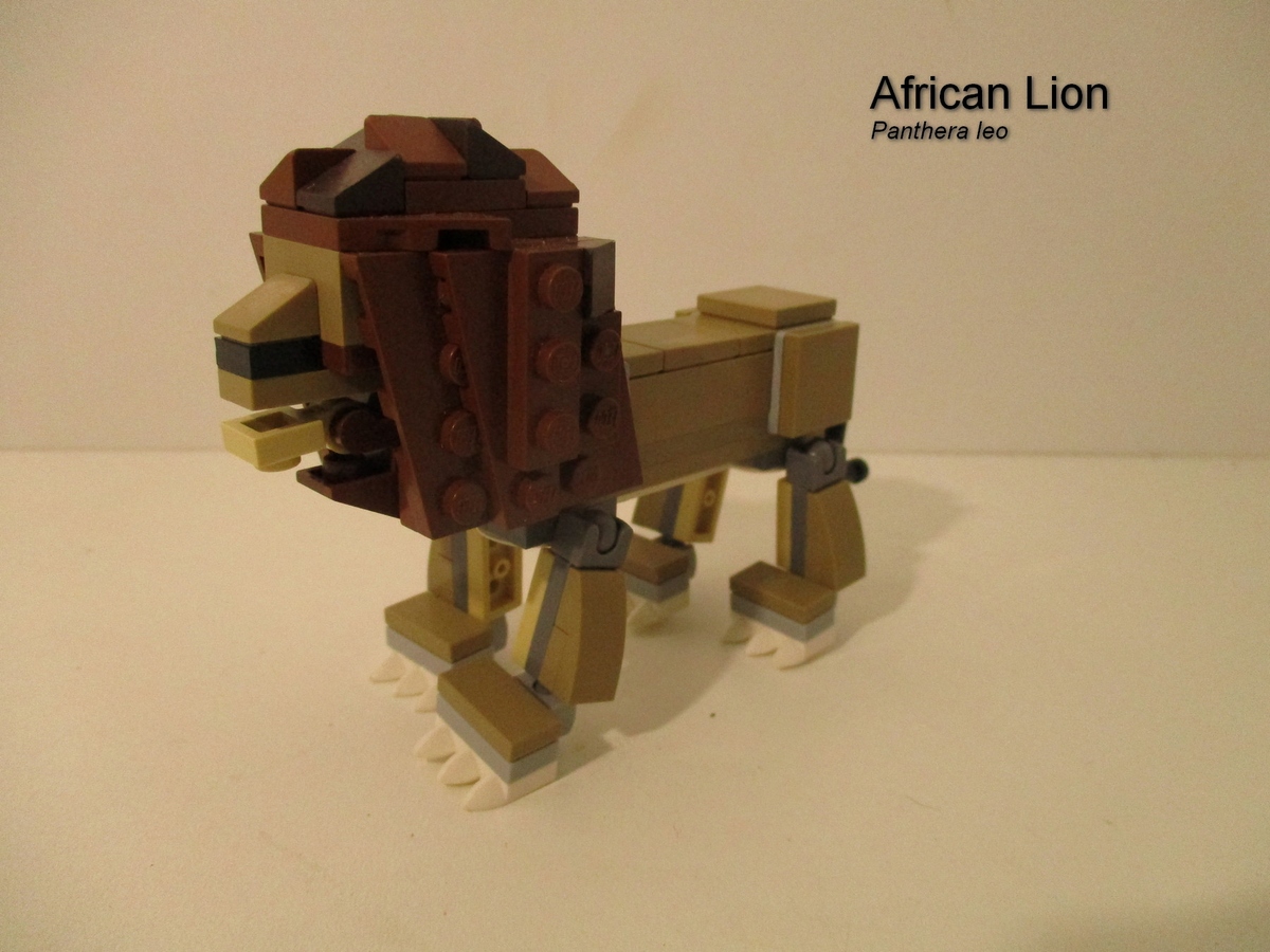 LEGO IDEAS Product Ideas The Big Five of Africa