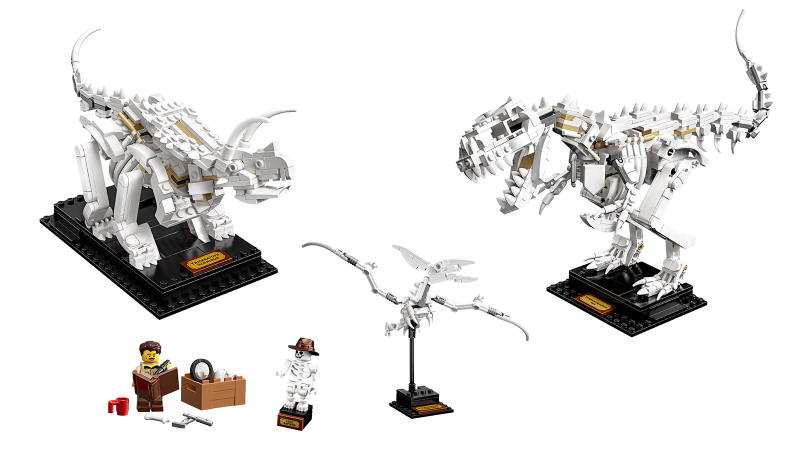 lego ideas dinosaur skeletons