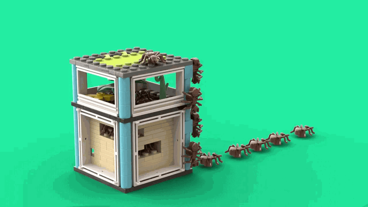 LEGO IDEAS Ready, Set, Go STEM! Ant Farm Escape