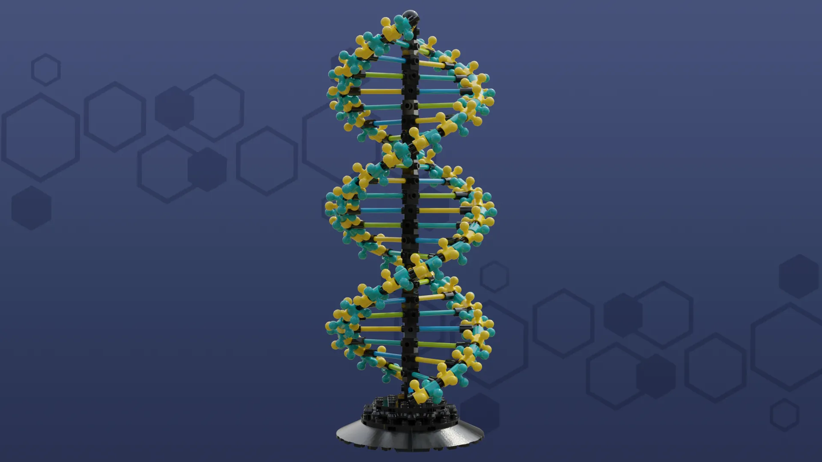 dna structure 3d model