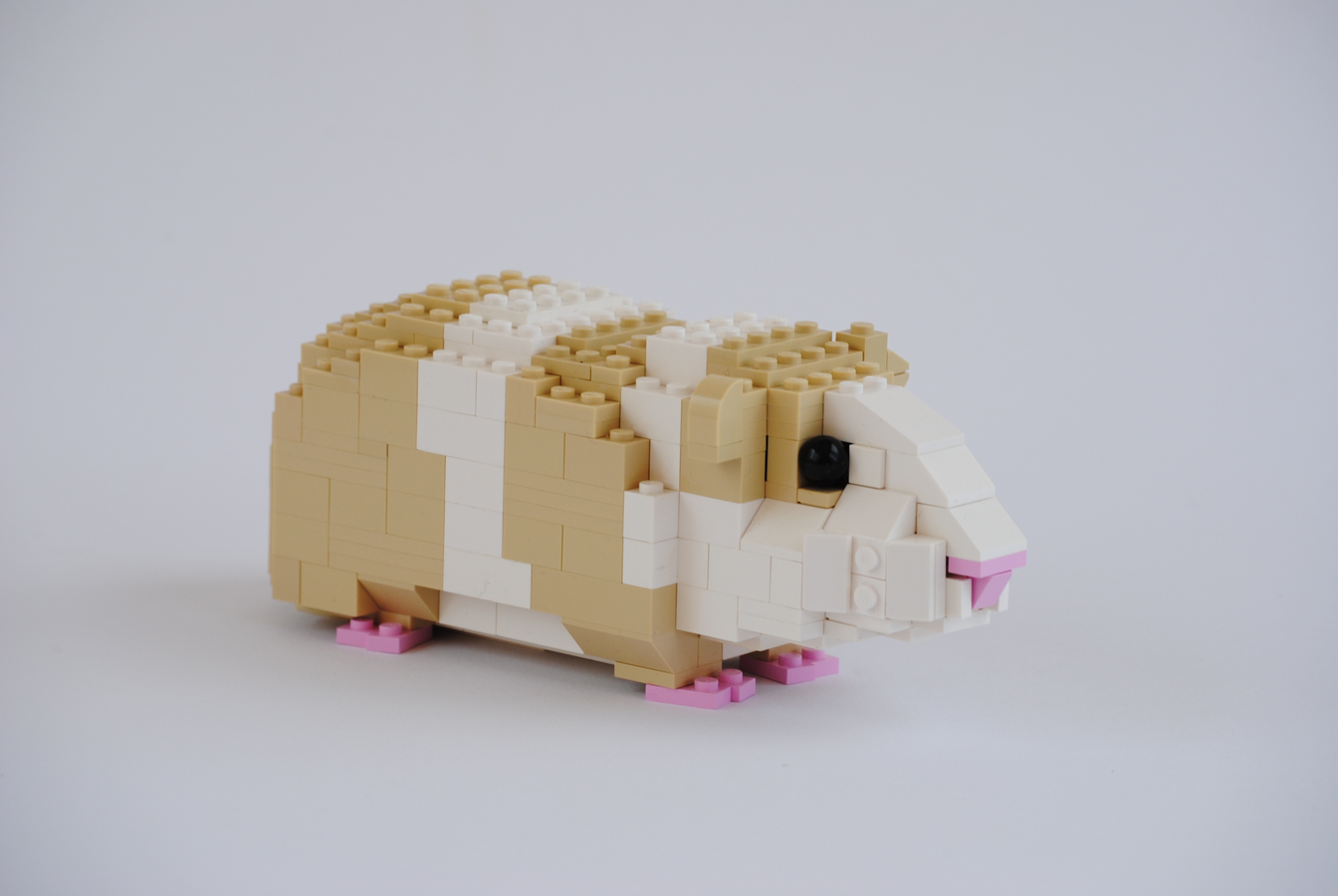 LEGO IDEAS Guinea Pig