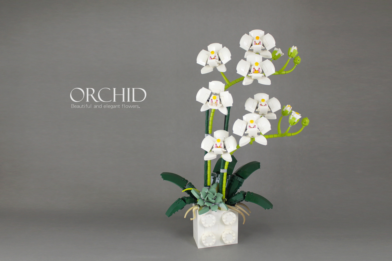 As requested, build pics of the Lego orchid : r/orchids