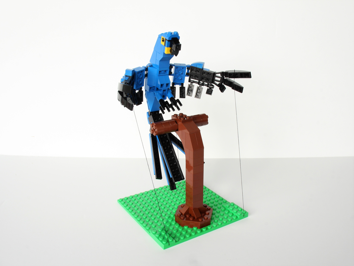 Lego macaw best sale