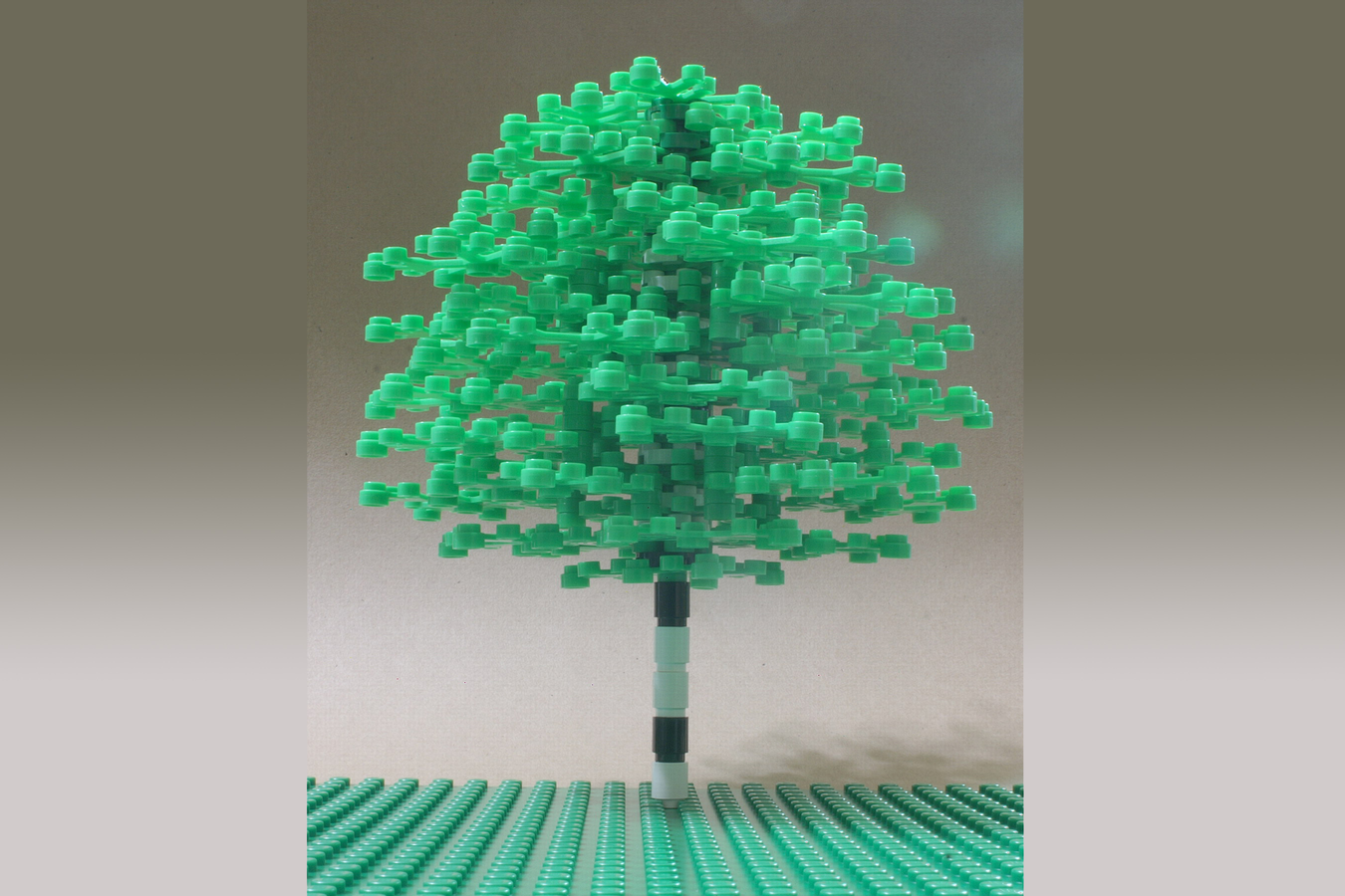 Lego birch best sale