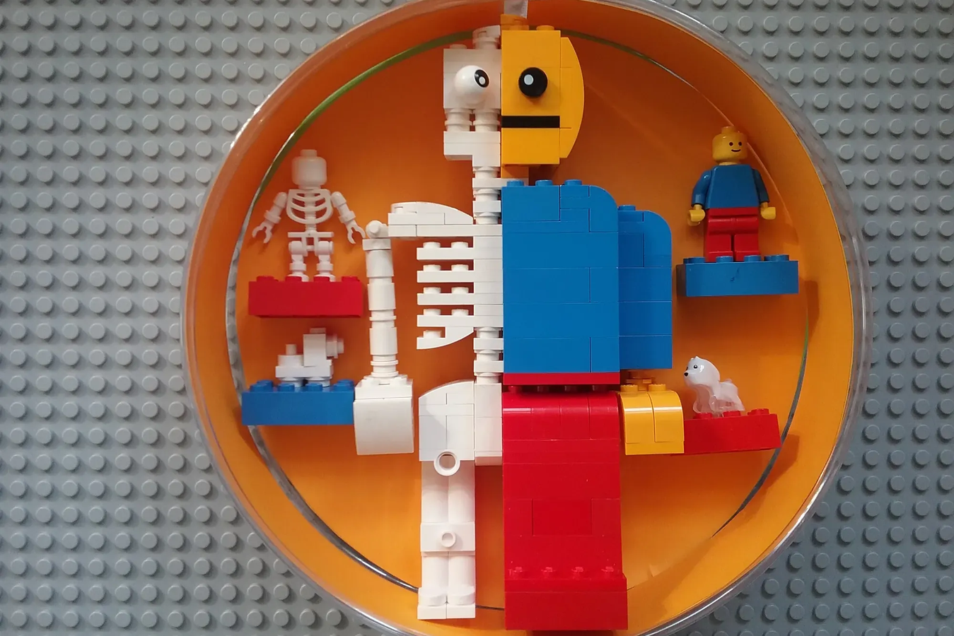 LEGO IDEAS Lego Brick Anatomy
