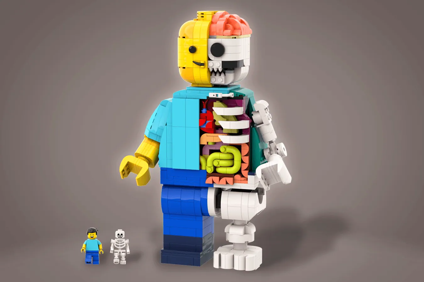 Basic best sale lego figure