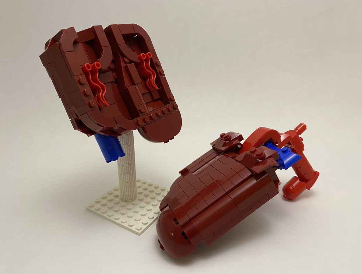 LEGO IDEAS Anatomic Heart