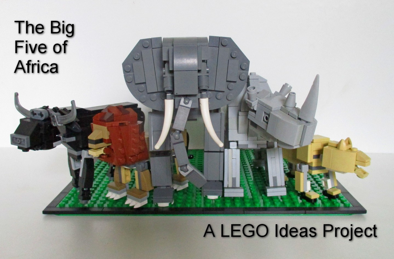 LEGO IDEAS The Big Five of Africa