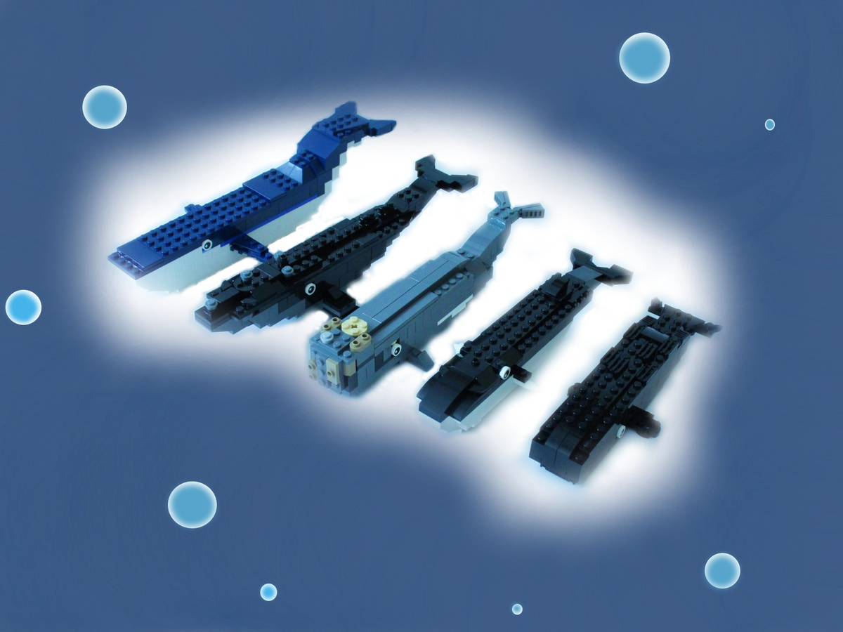 Lego humpback whale sale