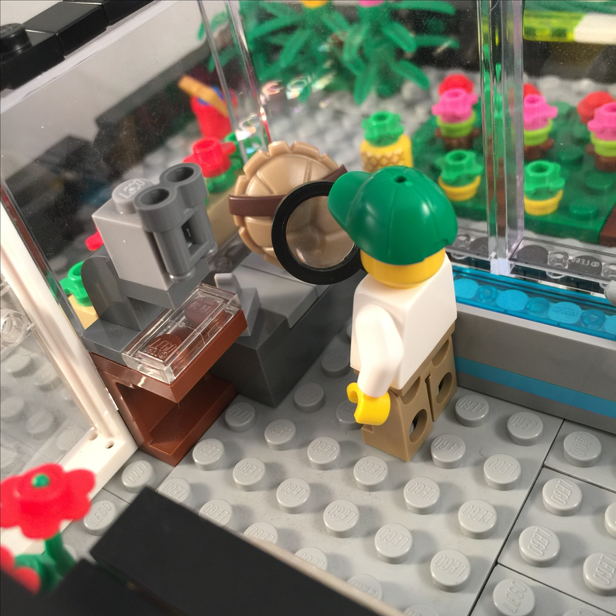 LEGO IDEAS Reptile Store