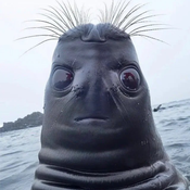 GreatestKnowledgeableSnail Avatar