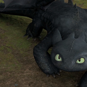 SrdečnýCtihodnýDrak Avatar