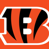 BengalsBrix Avatar