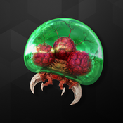 HojnyBrygadierGrizzam Avatar