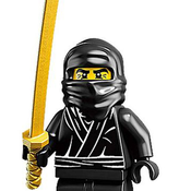 Brick Ninja Avatar