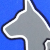 QuietestVitalRazar Avatar