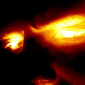 ScoutRunningBread Avatar