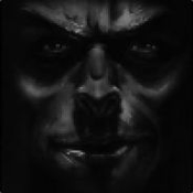 FirstLawfulWu Avatar