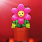 LastCalculatingCryptor Avatar