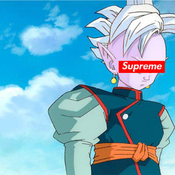 PresidentFancySnake100 Avatar