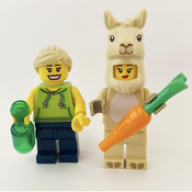 Lego And Llama Avatar