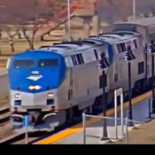 AssistantMiniatureMushroom Avatar