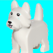 DogEvan Avatar