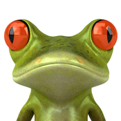 DJ Frosch Avatar