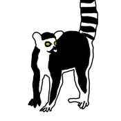 ScoutHumorousShoe Avatar