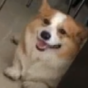 Scunekt Avatar