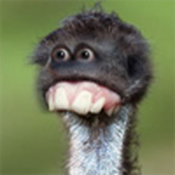 Malou44484 Avatar