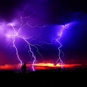 KnightDelightedBasket Avatar