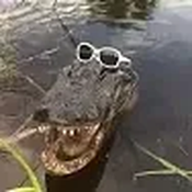 CoolCrocodile Avatar