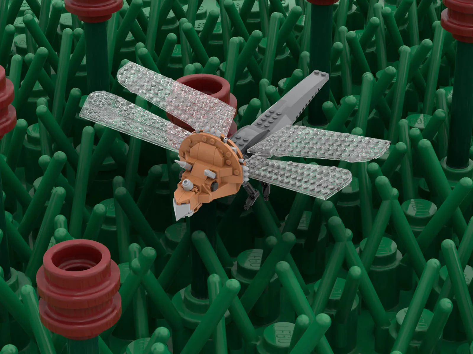 Image of the user's creation