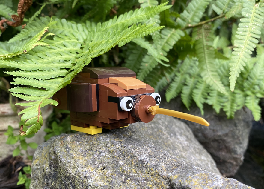 Lego kiwi 2025 bird
