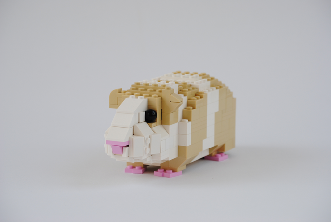 lego guinea pig