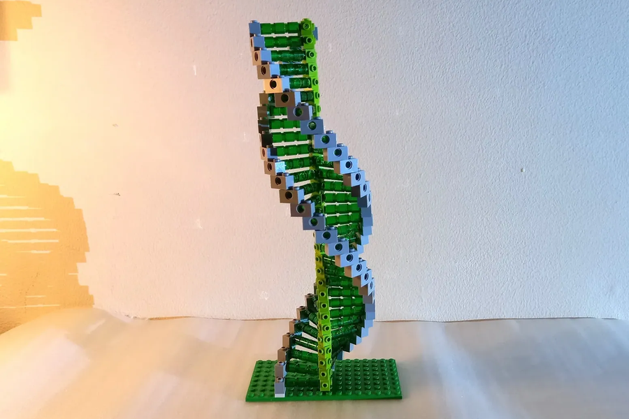 Lego discount dna model