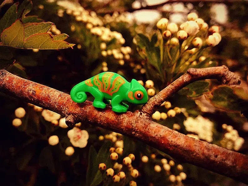 LEGO IDEAS You re the final piece Nature The Chameleon