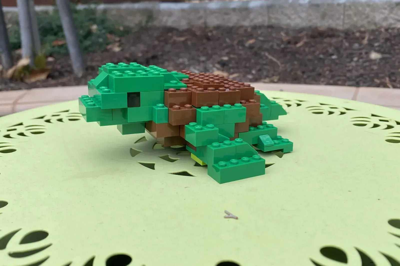 Image of the user's creation