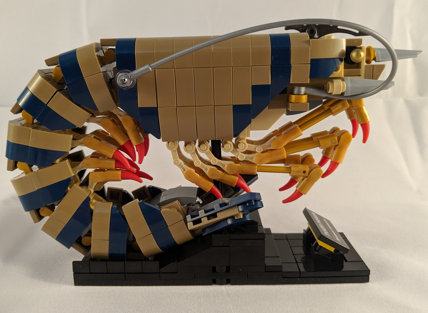 Lego shrimp cheap