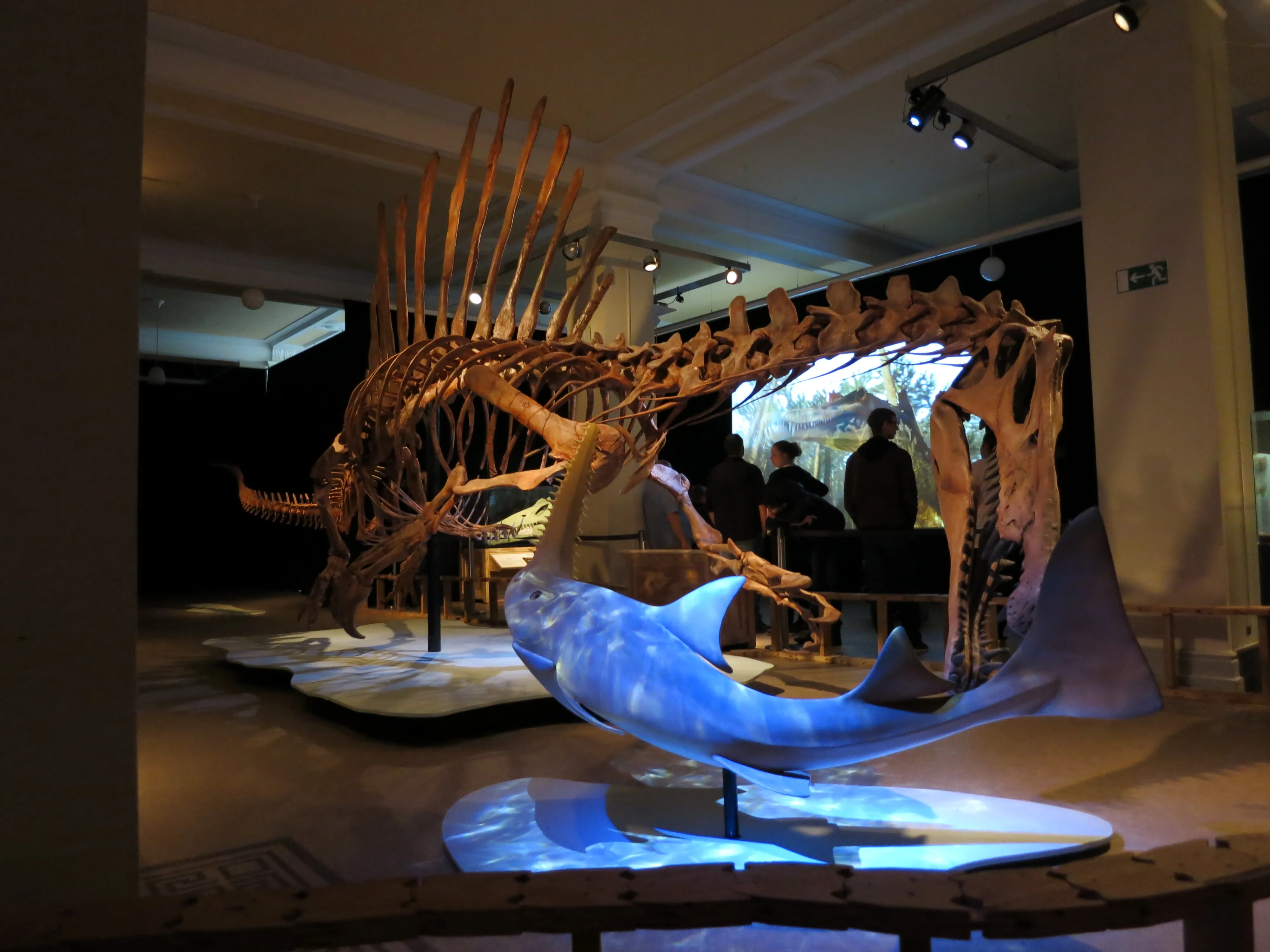 置物 out of museum Spinosaurus Skeleton | LEGO® Ideas