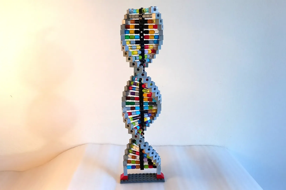 Lego dna model sale