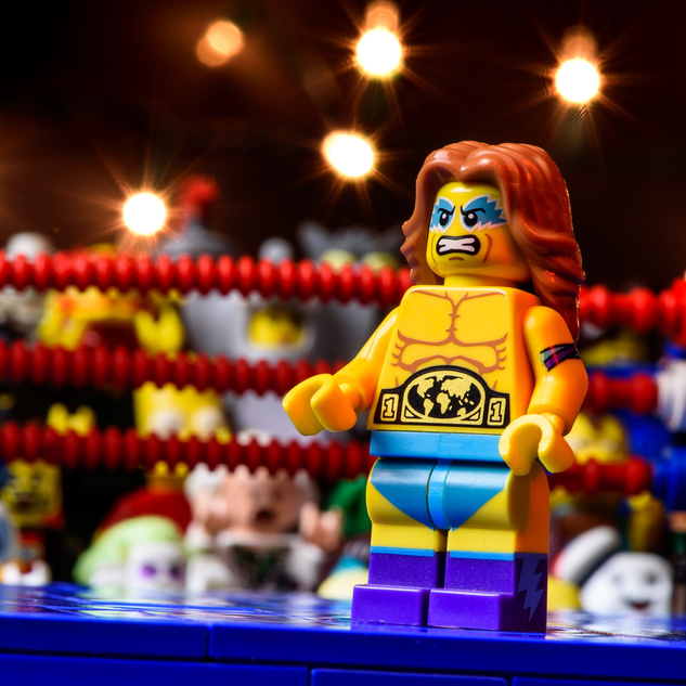 Lego best sale ideas wwe