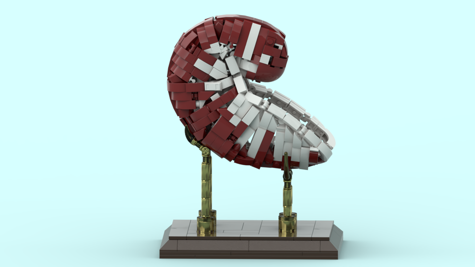 Lego Ideas Life Sized Nautilus Shell