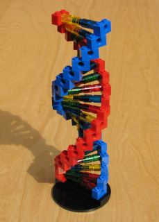 Lego dna model sale