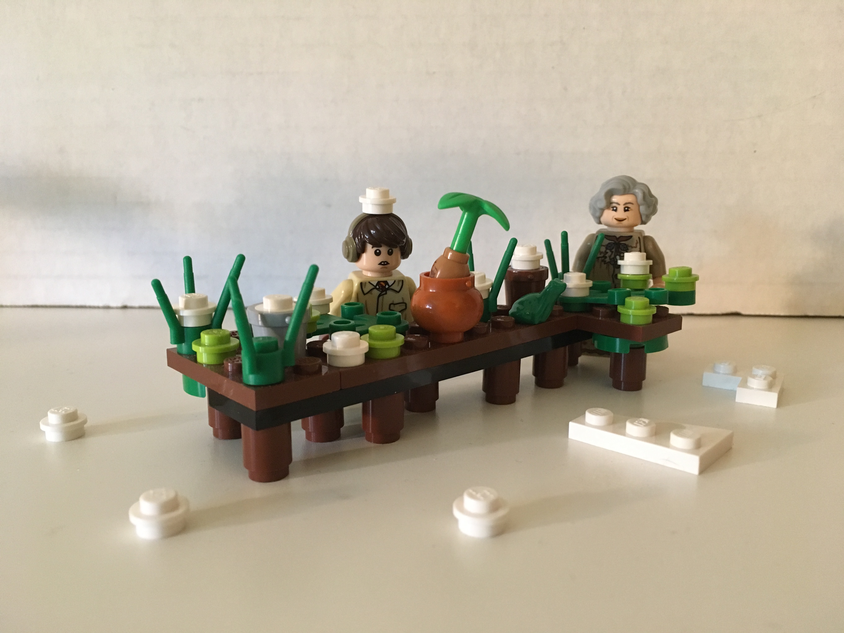 Harry potter lego greenhouse hot sale