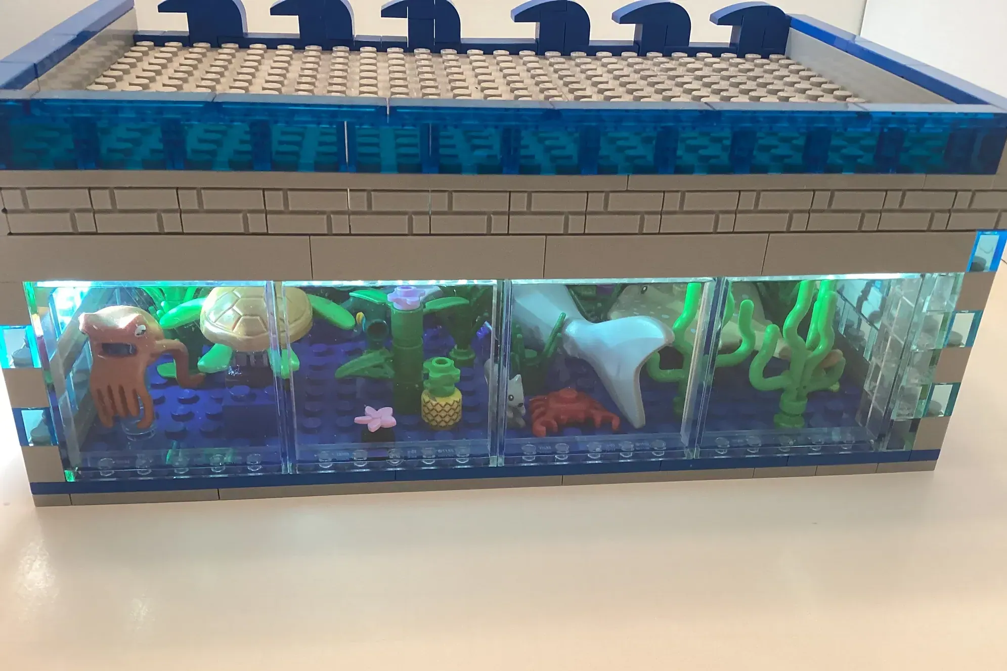 Image of the user's creation