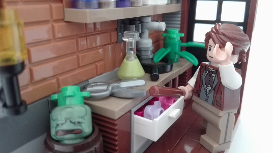 LEGO IDEAS Fantastic Beasts and Where to Find Them